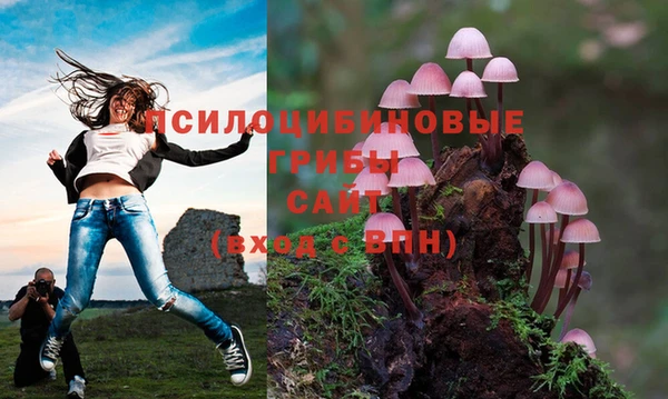 мяу мяу мука Горнозаводск