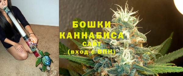 Альфа ПВП Горно-Алтайск
