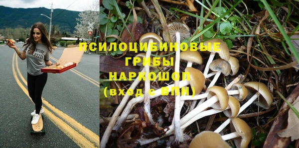 мяу мяу мука Горнозаводск