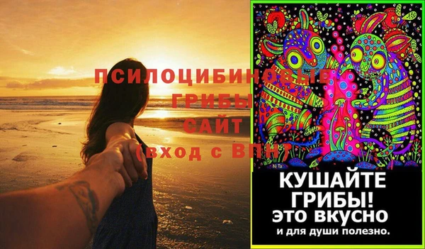 Альфа ПВП Горно-Алтайск