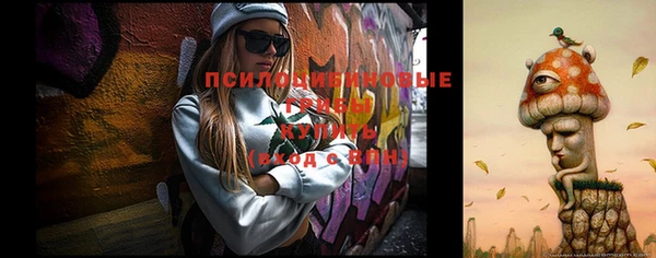 соль курить ск Горняк