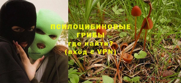 Альфа ПВП Горно-Алтайск